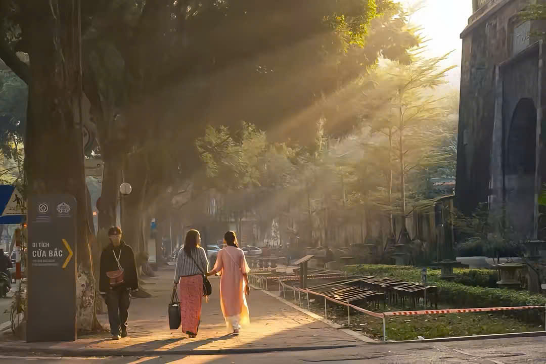 Hoa đào